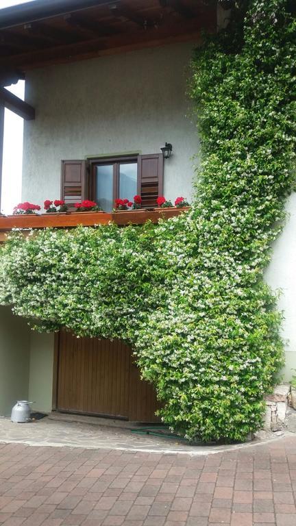 La Casa Del Gelsomino Apartment Ospedaletto  Ngoại thất bức ảnh